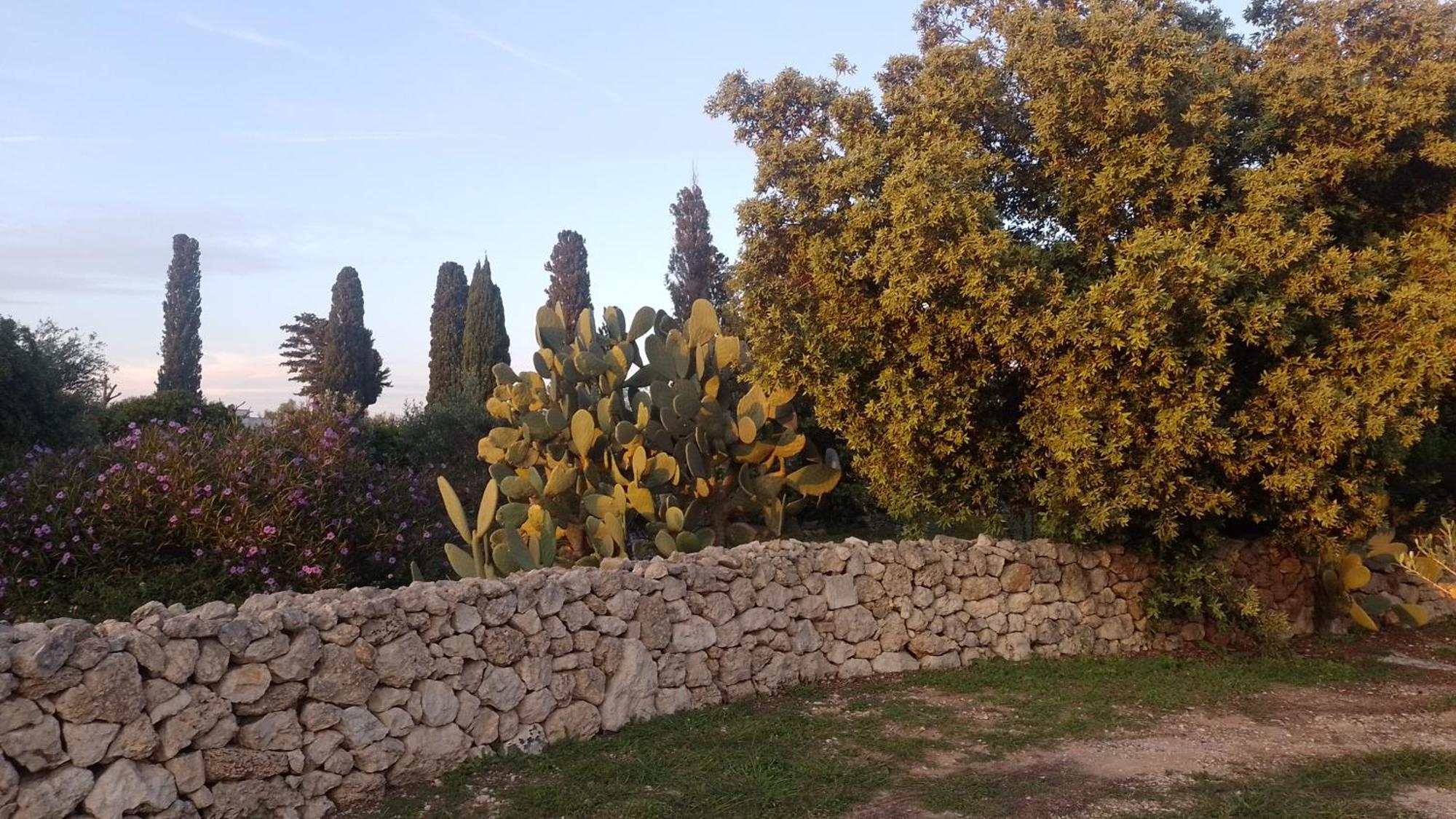 Agriturismo Villa Coluccia Martano Extérieur photo